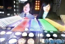 LED의 모든 것… 국제조명산업전