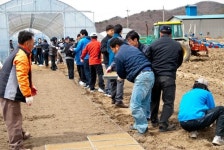 산업기술진흥원, 1사1촌 결연마을서 일손돕기