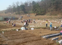 구로구, 경계지역 농지 활용 주말농장 사업 전개