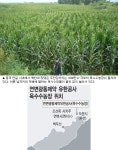 [르포] 광동제약, 중국 투먼시 `옥수수농장`을 가다