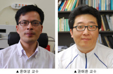 암 조기진단ㆍ맞춤치료 진일보