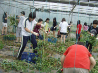 구로구 청소년자원봉사 학교 개설