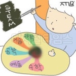 [이덕환의 과학세상] (392) STEAM 교육