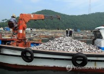 동해안 적조주의보…남해서 부산ㆍ울산ㆍ경주해역까지 확산