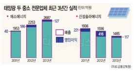 신성솔라에너지-에스에너지 올 태양광 시장서 일낸다