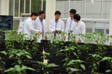 국산 스마트팜 구축으로 농산업 생태계 육성