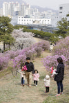 동산 사진 3