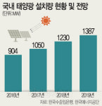 탈원전 혜택 기대했는데… 태양광 소재업체 웃지 못하는 이유
