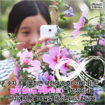 [카드뉴스] 8월 8일은 무슨 날일까요? `무궁화의 날`입니다!