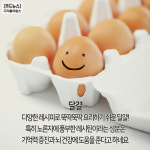 [카드뉴스] 수능 전에 먹어두자