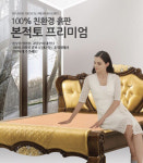 돌침대, 흙침대 현대의료기, 2017년 백만 불 수출의탑 선정