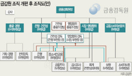 금감원 조직 슬림화 시동… 대팀제로 전환