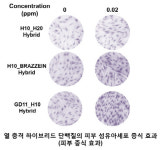 ㈜넥스젠바이오텍, `열 충격 하이브리드 단백질` 개발 성공