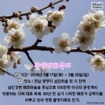 [카드뉴스] 따스한 봄이 왔어요~ 3월에 시작하는 봄꽃 축제