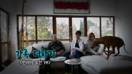 독일서 반려견 키우기 위한 험난한 과정