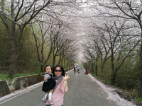 고성공룡나라(하남)휴게소에서 특별한 여행 떠나요