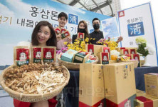 정관장 `홍삼톤청` 첫선