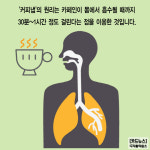 [카드뉴스] 커피 마시고 낮잠 자면 `춘곤증` 해결... `커피냅` 어때요?
