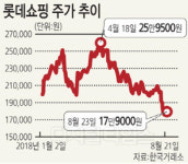 롯데쇼핑, 홀로 찬바람… 中 보복 안끝났다
