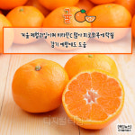 [카드뉴스] 겨울철 면역력 높여주는 슈퍼푸드 4가지