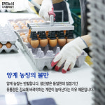 [카드뉴스] 달걀 껍데기가 바뀐다