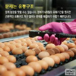 [카드뉴스] 달걀 껍데기가 바뀐다