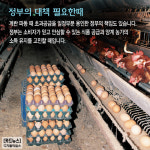 [카드뉴스] 달걀 껍데기가 바뀐다