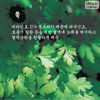 [카드뉴스] `봄을 나누다`뜻의 춘분