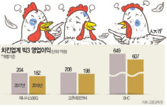 결국 상처뿐인 `닭싸움`