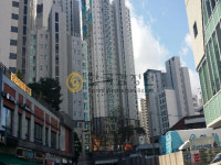 다시 뛰는 마·용·성…용산역세권 개발 급물살에 `신고가` 단지 속출