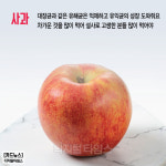 [카드뉴스]장 건강에 좋은 음식 4가지