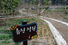 유진투자증권, 생태공원조성 프로젝트 `유진정원` 조성