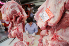 돼지고기 도매가격 ‘안정세’…전날대비 13.9%↓