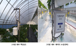 스마트팜 없어도…`빅데이터 단기활용` 시범 서비스 개시