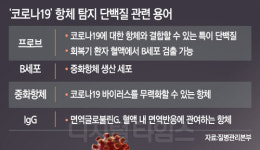 국내연구진 코로나19 항체 탐지 단백질 제작 성공