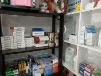 반려동물 보호자 10명 중 8명, 동물병원 접종 비용 부담 느껴