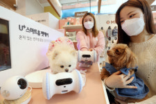 [르포] LGU+ 펫 매장을 가다