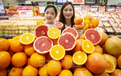 [포토] 롯데마트, 남반구에서 온 자몽과 오렌지