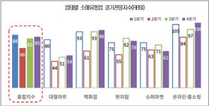 소매유통, 4분기도 `코로나 블루`… 22% 대책 없다