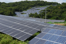 산림훼손하는 산지태양광…온실가스 감축기능 700억 손실