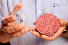 배양육, 미래 육류 대체식품 ‘각광’…식량안보·축산자원 부족 해결사 될까