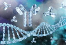 비강 섬모상피세포 감염 사전 차단으로 기대 받는 후니즈 ‘IgY` 항체