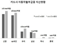 수익다각화 나선 카드사들, 자동차할부금융 본격 경쟁