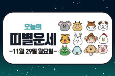 오늘의 운세 및 띠별 운세(11월 29일)