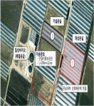 농림부, 가축분뇨 이용 에너지 생산 추진