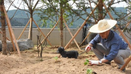`귀향 한달` 文, 자연인 됐지만…평산마을, `평온` 깨졌다