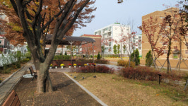 아름다운 학교숲을 소개합니다…대구 북동초 등 6곳 선정