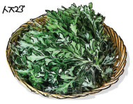 [손해복의 백세시대 음식보감] 쑥쑥 자라는 쑥, 동서양 대표 약초