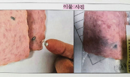 고교 급식용 햄에서 나온 돼지약은 `알러스프레이`…초교에도 납품