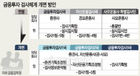 금감원, 검사인력 30% 확충… 대규모 횡령·배임 금투사 바로 퇴출